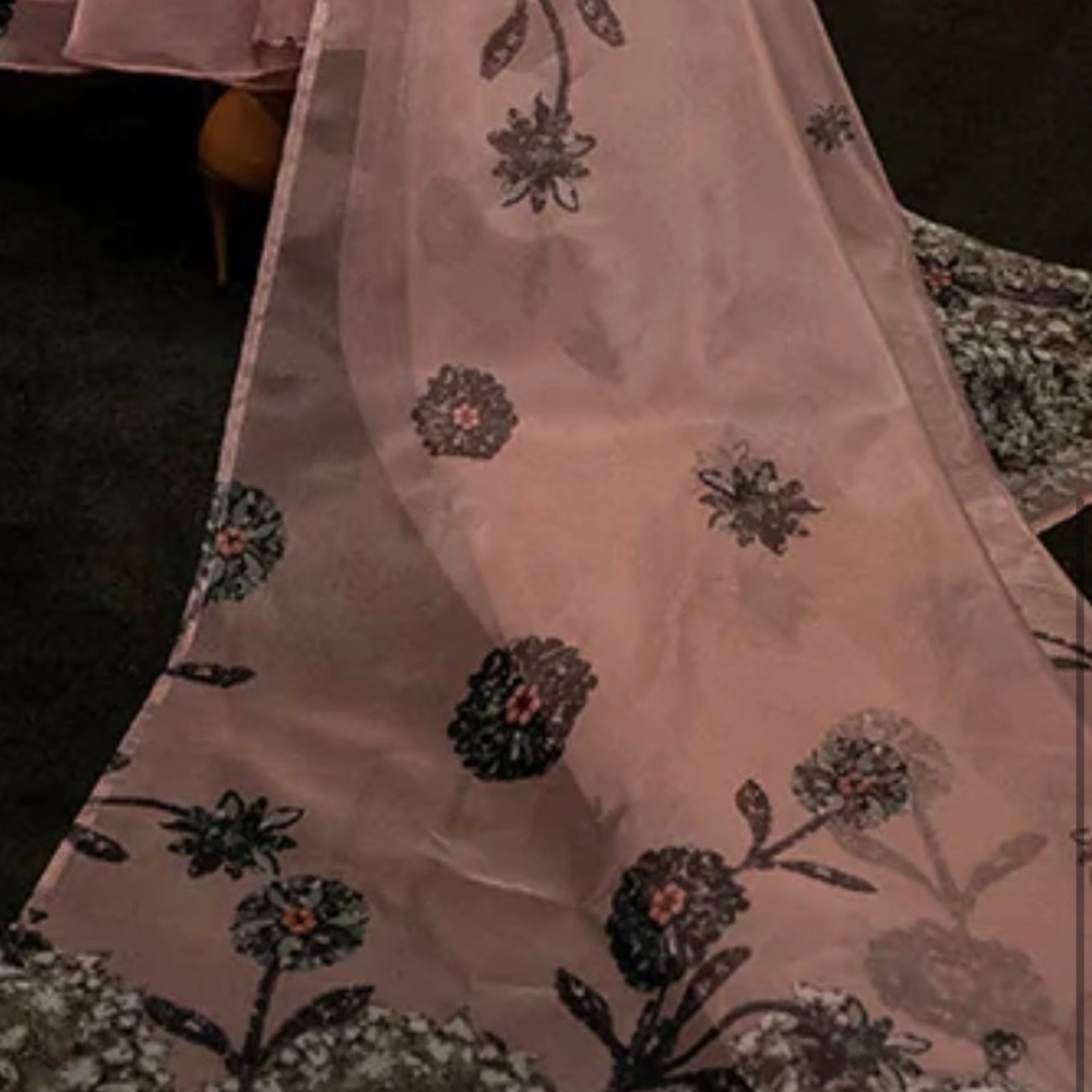 Pakistani embellished light pink organza body-cut dress - Picture 5 of 5